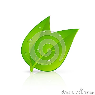 Green leaves realistic image print Vector Illustration