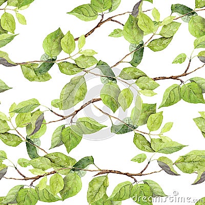 Green leaves. Seamless pattern. Watercolor Stock Photo