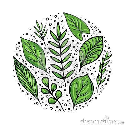 Green leaves set Vector Illustration