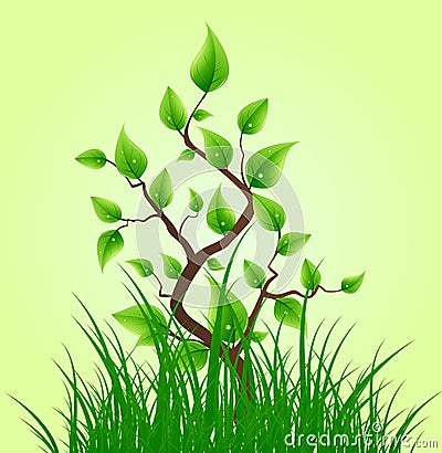 Green leaves on small tree Vector Illustration