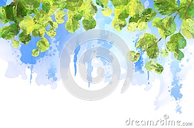 Green leaves tree branches vector watercolor Vector Illustration