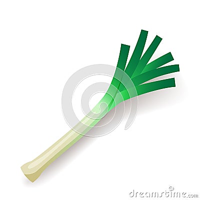 Green leek icon isolated, organic healthy food, fresh leaf, vegetable, vector illustration. Vector Illustration