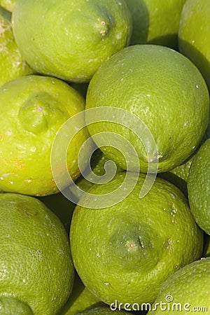 Green Lemons Stock Photo