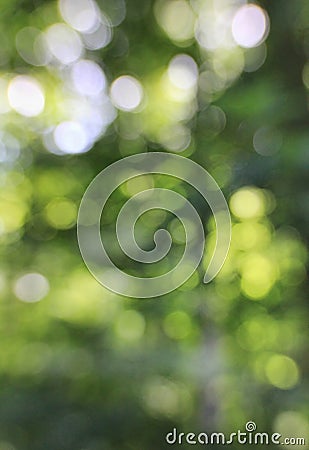 Green Lens Bokeh Background Stock Photo