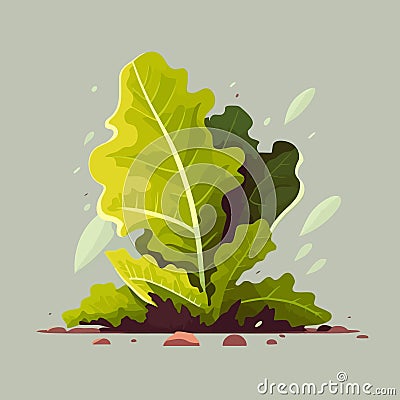 Green lettuce flat color illustration Fresh Organic vegetable for salad Stock Photo