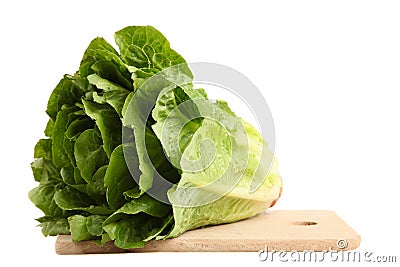 Green lettuce romaine Stock Photo