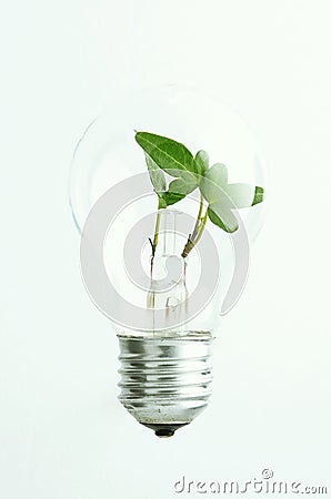 Green light bulb Stock Photo