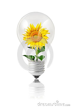 Green lightbulb energy concept on white Stock Photo