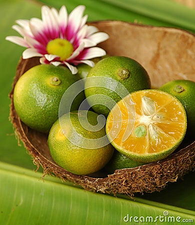 Green lime Stock Photo