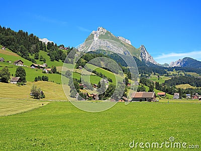 Green living in swiss Alpine landscape Stock Photo