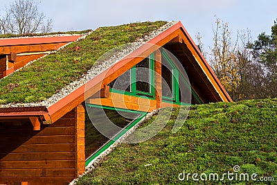 Green living roof on wooden building covered with vegetation Stock Photo