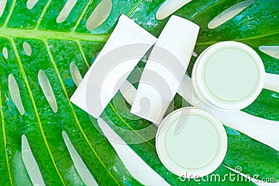 Green lush with cosmetic products Stock Photo