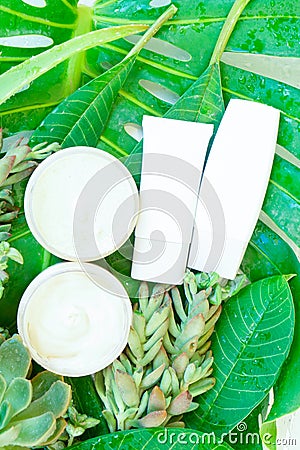 Green lush with cosmetic products Stock Photo