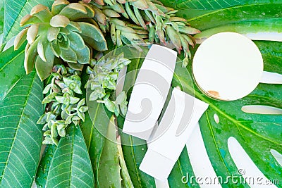 Green lush with cosmetic products Stock Photo