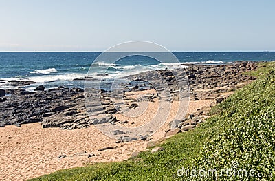 Green Lush Dune Vegetation and Sandy Rocky Beach Stock Photo