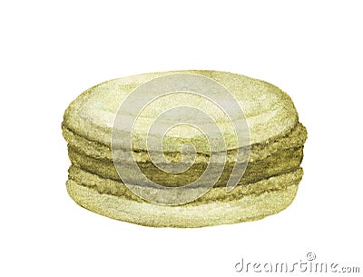 Green Macaroon. Watercolor illustration on white background. Cartoon Illustration