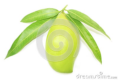 Green mango Stock Photo