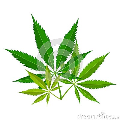 Green marijuana leaves. Medical cannabis plant, Herbal indica sativa. Natural hemp. Addiction smoke weed drugs Illegal Vector Illustration