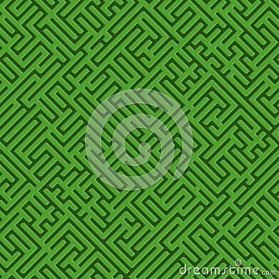 The green maze Vector Illustration