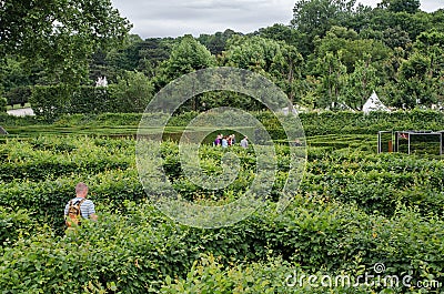 Green maze at garden of Schonbrunn. The famous tourist place Editorial Stock Photo