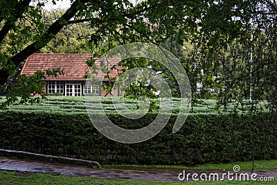 Green maze with a Germanic style house behind in Nova Petropolis Editorial Stock Photo