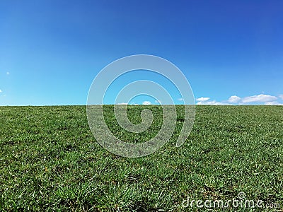 Green meadow hill with blue sky and copy space Stock Photo