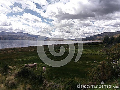 Green meadow near lagoon and distant mountains Stock Photo