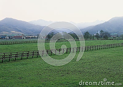 Green meadow and wooden fence. Stock Photo
