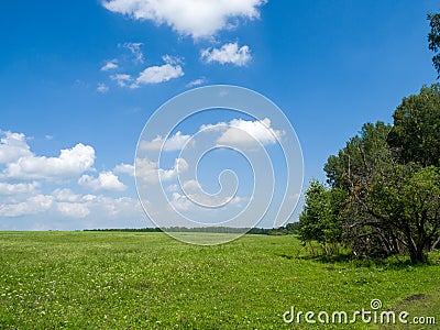 Green meadows and fields. White clouds in the blue sky Stock Photo
