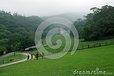 The pastures filled with green grassland are full of greenery, and the mist in the distance makes the scenery more secluded and pl Stock Photo