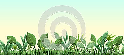 Green morning tropical herbs and bushes. Horizontal seamless composition. Jungle meadow. Shoots of palms and plants Vector Illustration