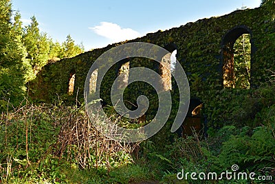 Green Moss Covered Aqueduct in Sao Miguel Stock Photo