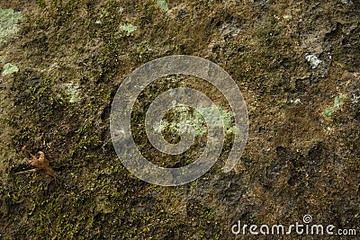 Backgrounds and Textures Stock Photo