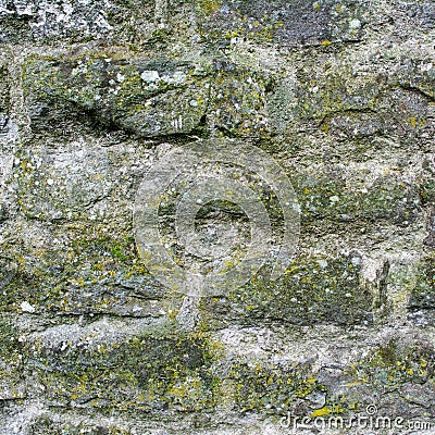 Green mossy stone wal Stock Photo