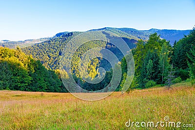 Green mountain covered with forest Stock Photo