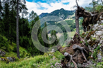 Mountainous landscape in Val di Fassa Dolomites with blue sky near Trentino, Italy Stock Photo