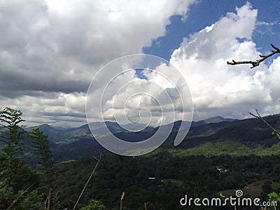 Green mountan sri lanka Stock Photo