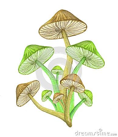 Green mushroom bunch isolated on white background. Neon glowing toadstool Stock Photo