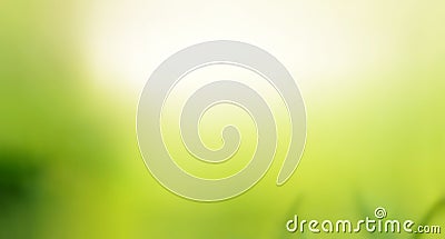 Green natural abstract background Stock Photo