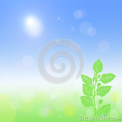 Green Natural Background Stock Photo