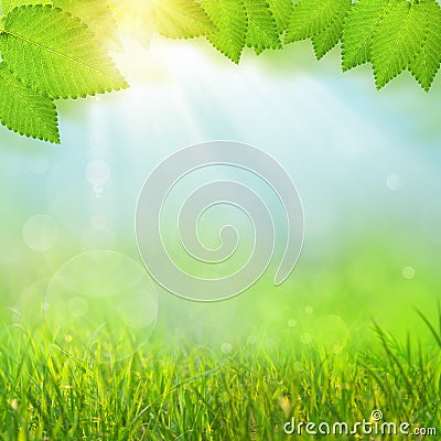 Green natural backgrounds Stock Photo