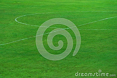 Green natural grass of football or soccer field with part of center round white line for sport background Stock Photo