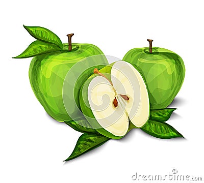 Green natural organic apple fruit Vector Illustration