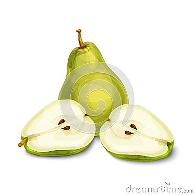 Green natural organic pear fruit Vector Illustration