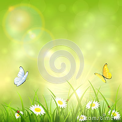 Green nature sunny background Vector Illustration