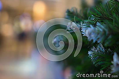 Green needles on spruce, fir, pine branches. Abstract blurred holiday background with Bokeh. Selective focus. Winter Stock Photo