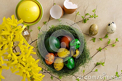 Green nest with many different colored quail easter eggs. Stock Photo
