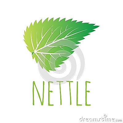Green nettle leaf vector illustration Vector Illustration
