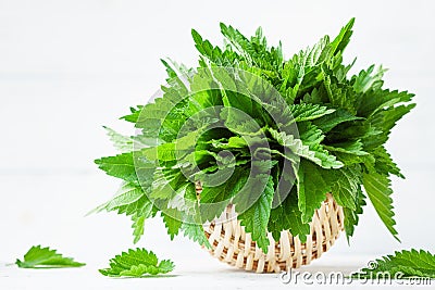 Green nettle leaves in basket on white background, stinging nettles, urtica Stock Photo