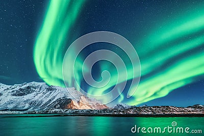 Green northern lights in Lofoten islands, Norway. Aurora borealis Stock Photo